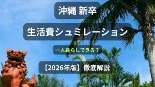 【沖縄の新卒年収】一人暮らしは正直きつい？リアルな生活費を全公開